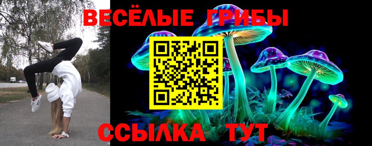 Псилоцибиновые грибы Cubensis Белогорск