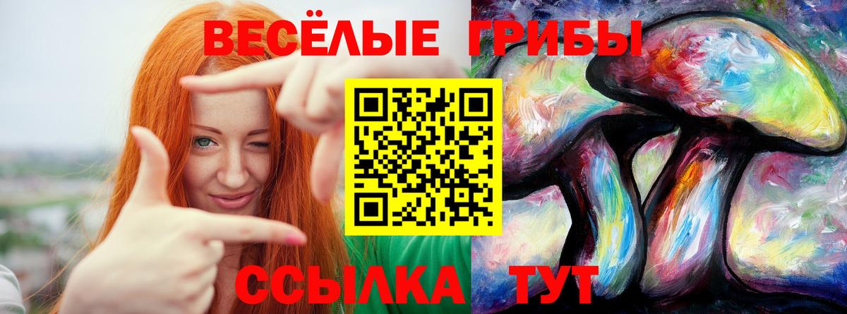 Псилоцибиновые грибы ЛСД  Вход с VPN  Белогорск  Псилоцибиновые грибы Cubensis 