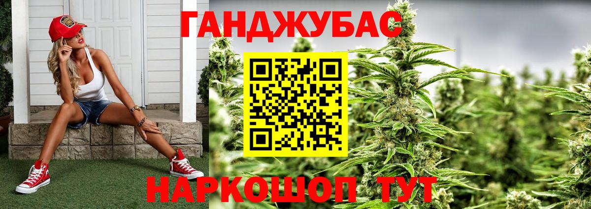 Конопля сатива Белогорск